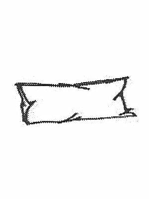 Kidney Throw Pillow