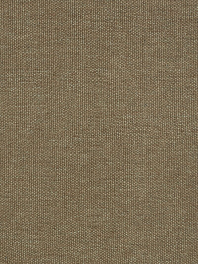 Dawn, Pecan (G)