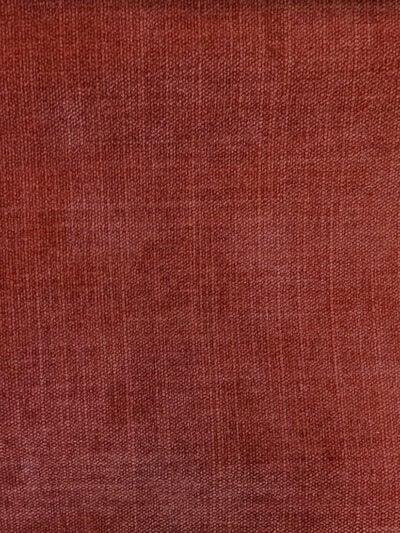 Bianca Paprika, Poly, B